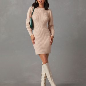 Sanori Long Sleeve Sweater Mini Dress